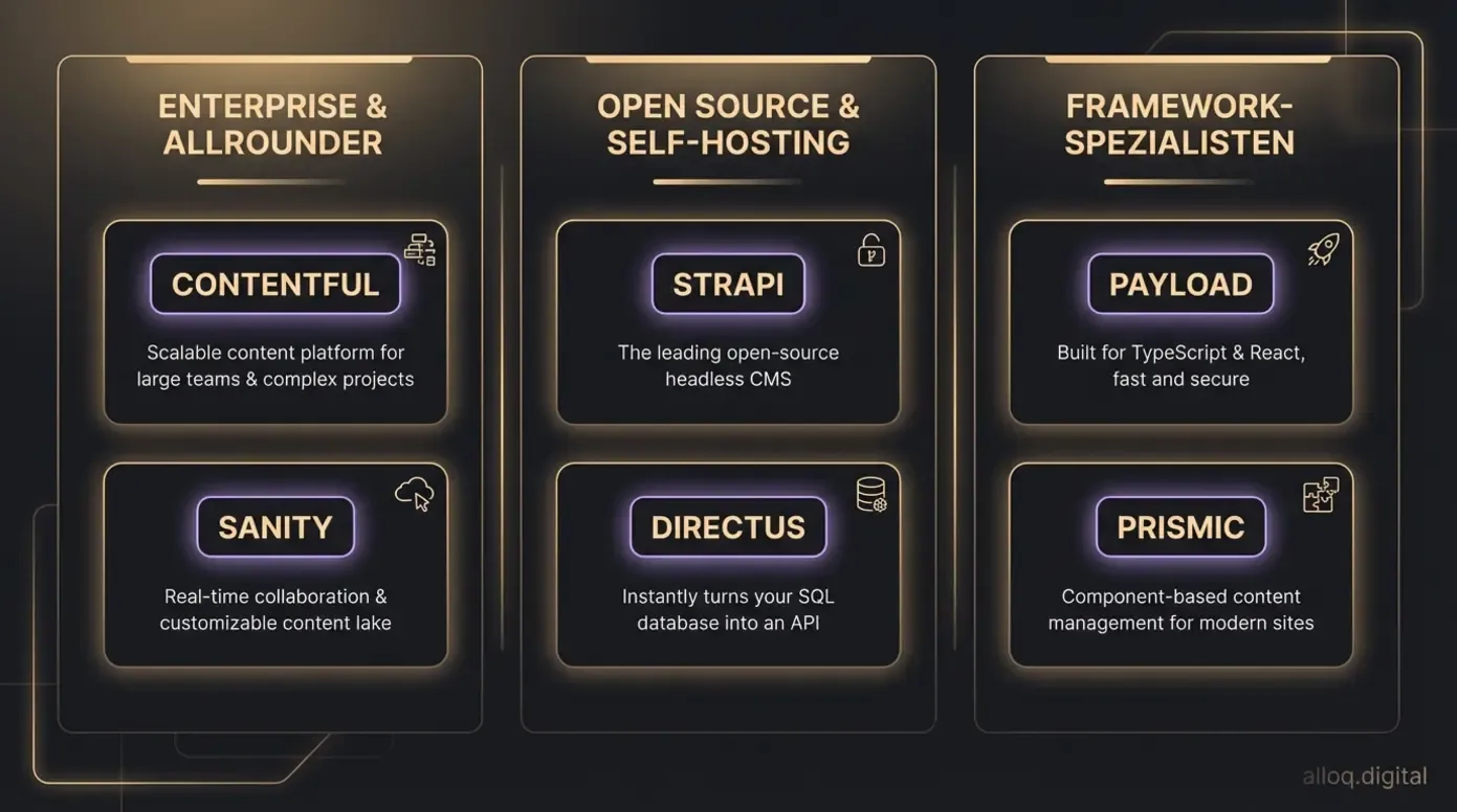 Drei-Kategorien-Übersicht: Enterprise-Allrounder, Open-Source-Lösungen und Framework-Spezialisten im Headless-CMS-Markt